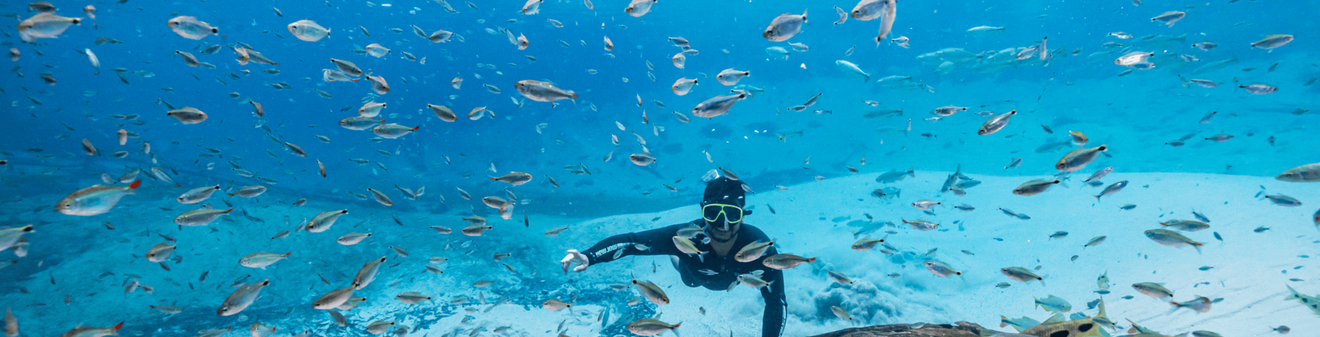 Bonito Adventure